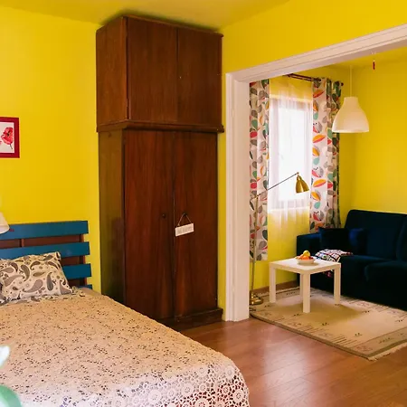 Spacious 1 Bed Flat Near Vitosha Blvd Апартамент София